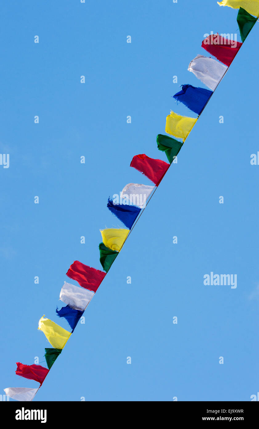 Une ligne de drapeaux de prière Tibetains à Kagyu Samye Ling Monastery. Eskdalemuir, Langholm, Dumfries, Ecosse Banque D'Images