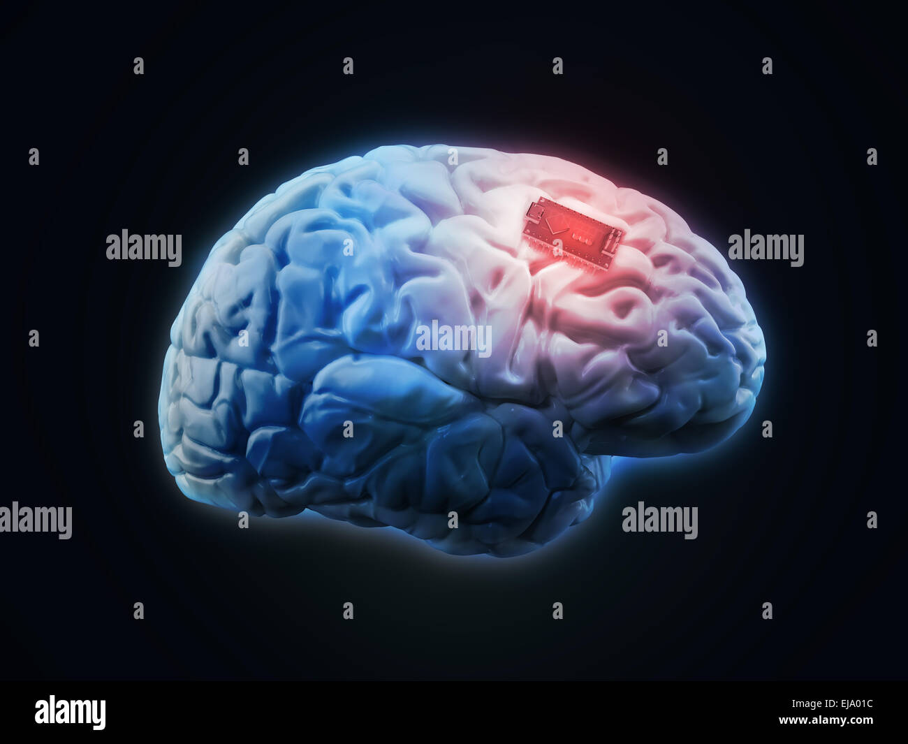 Les droits de l'implant cérébral concept illustration Banque D'Images