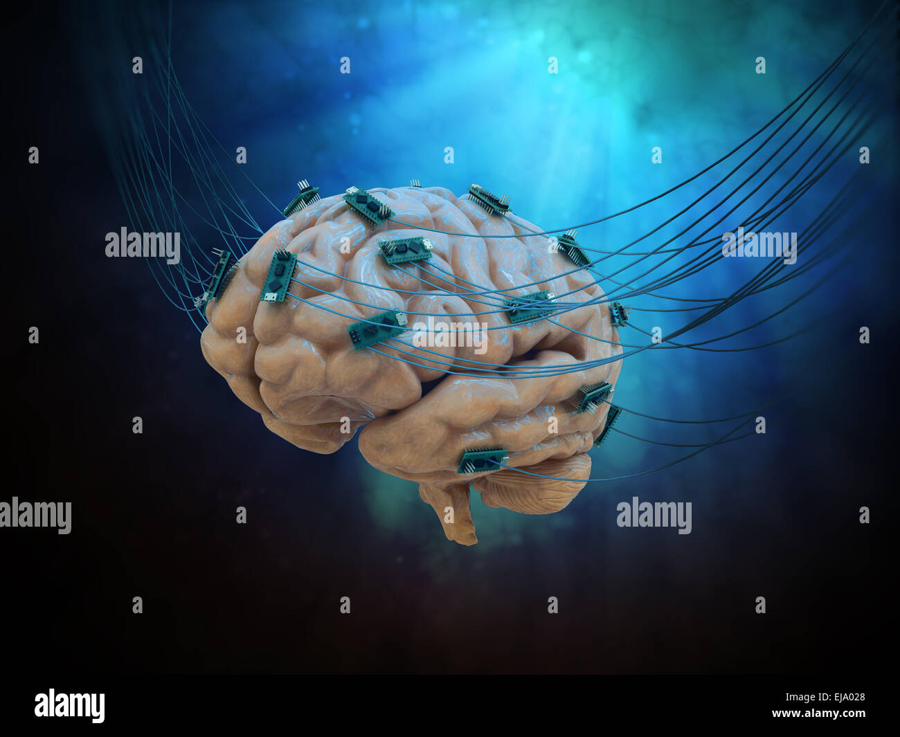 Cerveau humain connecté à câbles et des puces d'ordinateur Banque D'Images Cerveau humain connecté à câbles et des puces d'ordinateur Banque D'Images