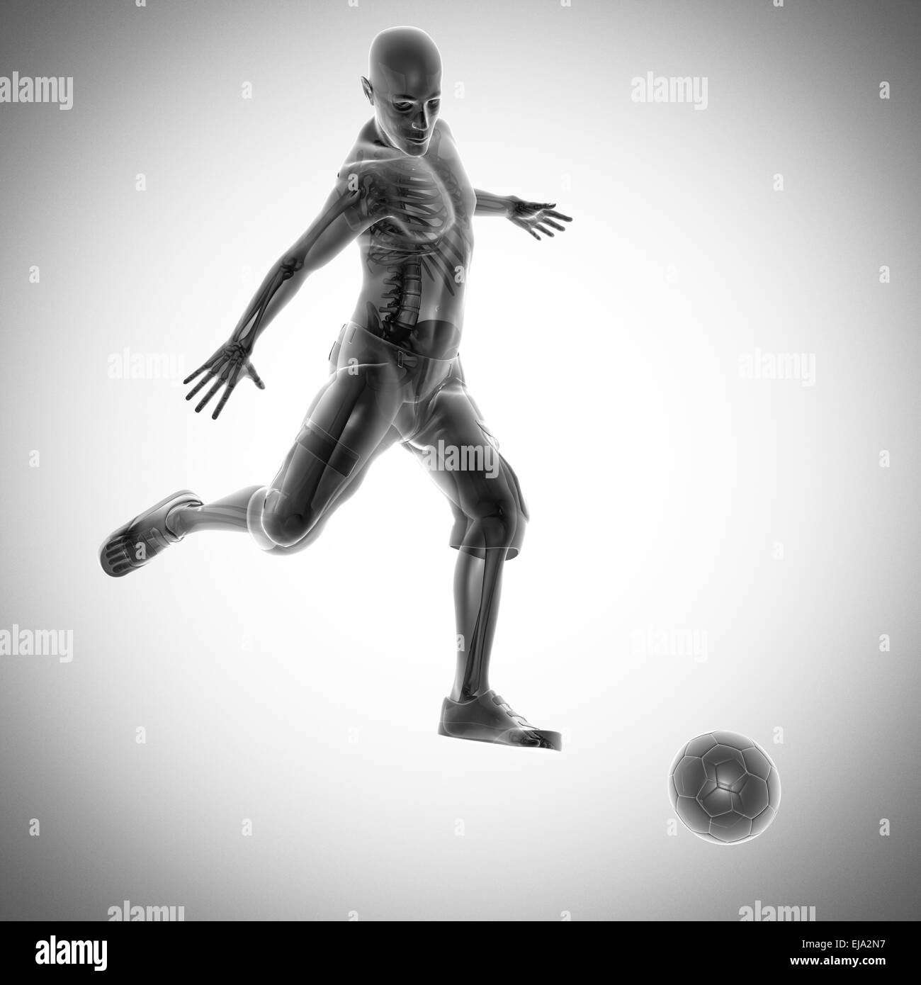 Partie de soccer player image radiographie Banque D'Images