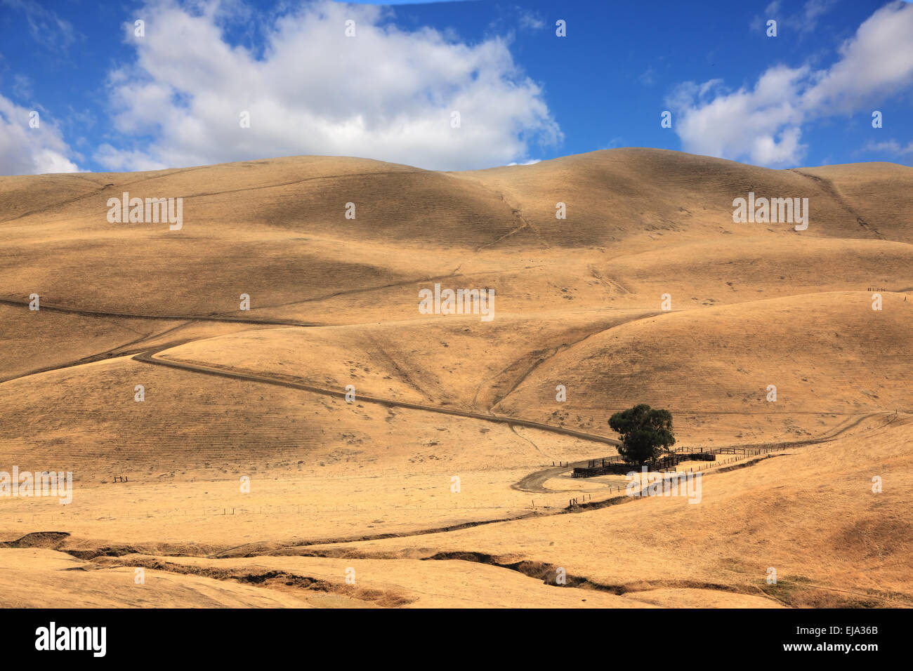 La route entre les collines de Californie Banque D'Images