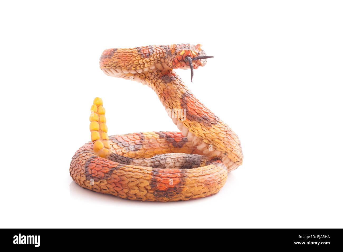 Serpent jaune isolé sur fond blanc Banque D'Images