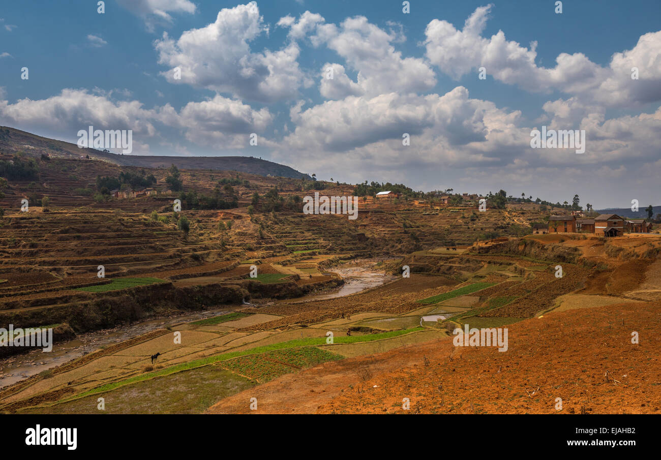 Paysage des hautes terres de Madagascar Banque D'Images