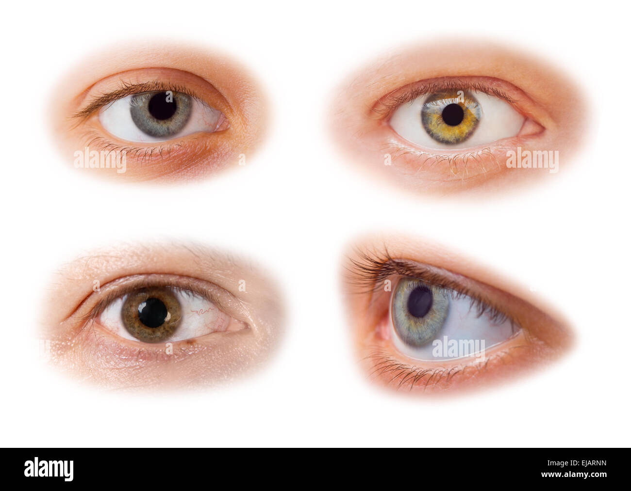 Jeu d’yeux Banque D'Images