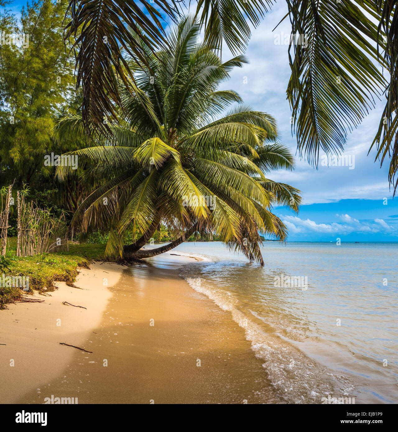 Tropical Island - mer, ciel et palmiers Banque D'Images