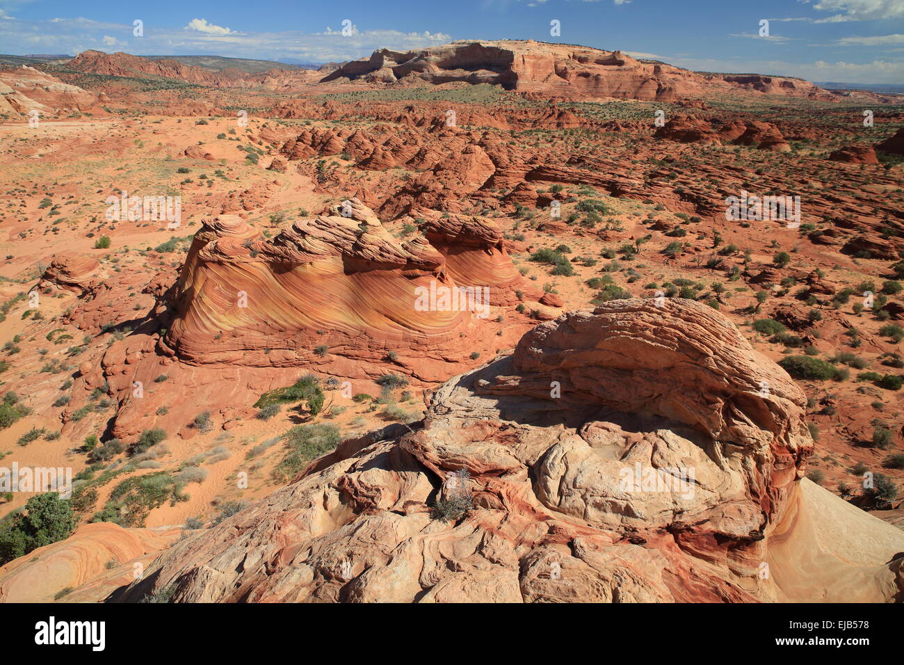 Coyote Buttes North La Vague Banque D'Images