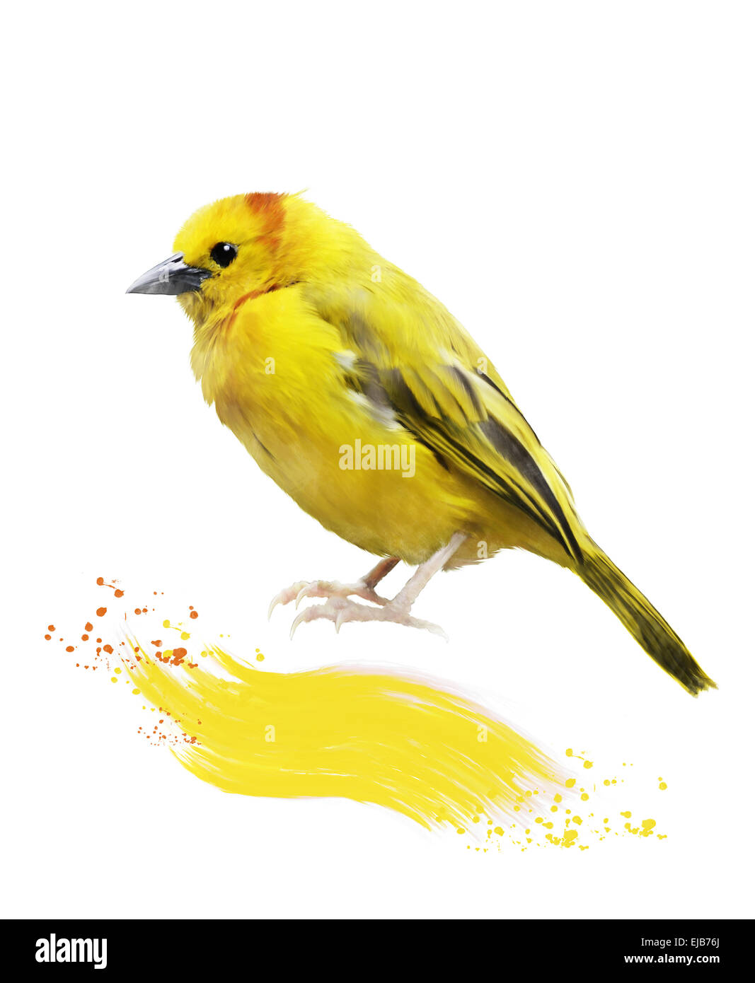 Aquarelle Image de Yellow Bird Banque D'Images