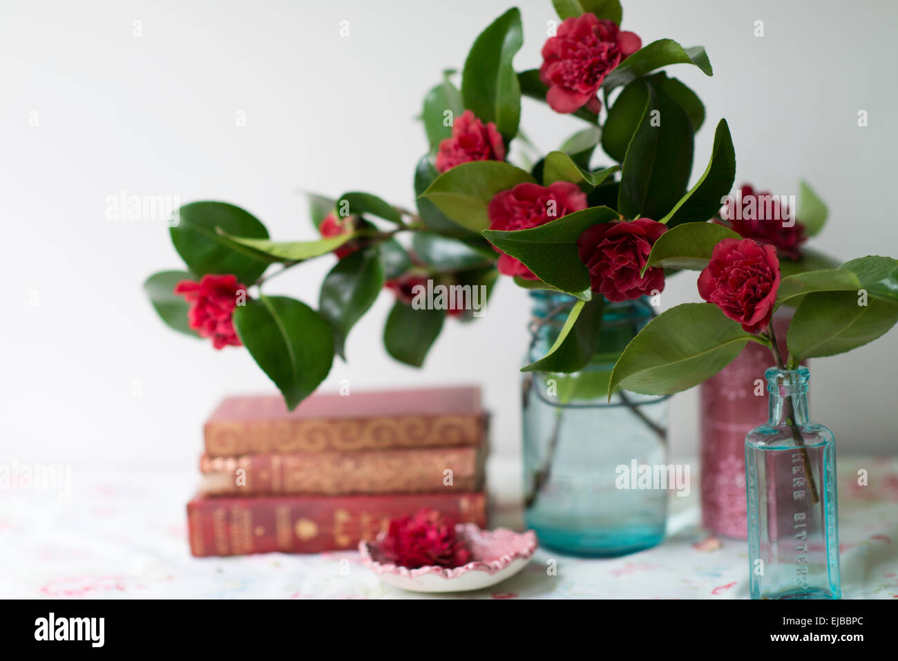 Fleurs coupées de camélia rouge en bleu les pots avec vintage books devant une fenêtre Banque D'Images