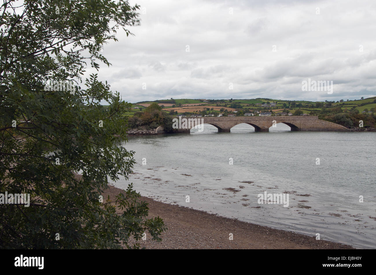 La baie intérieure, Murlough National Nature Reserve, comté de Down, Irlande Banque D'Images