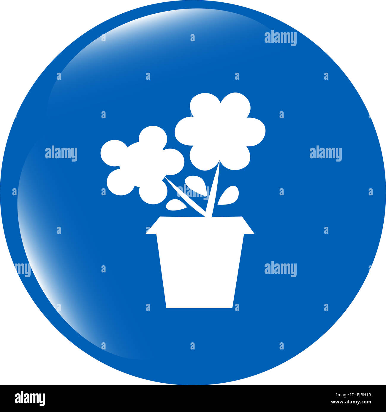 Web fleurs boutons pour site web ou app isolated on white Banque D'Images