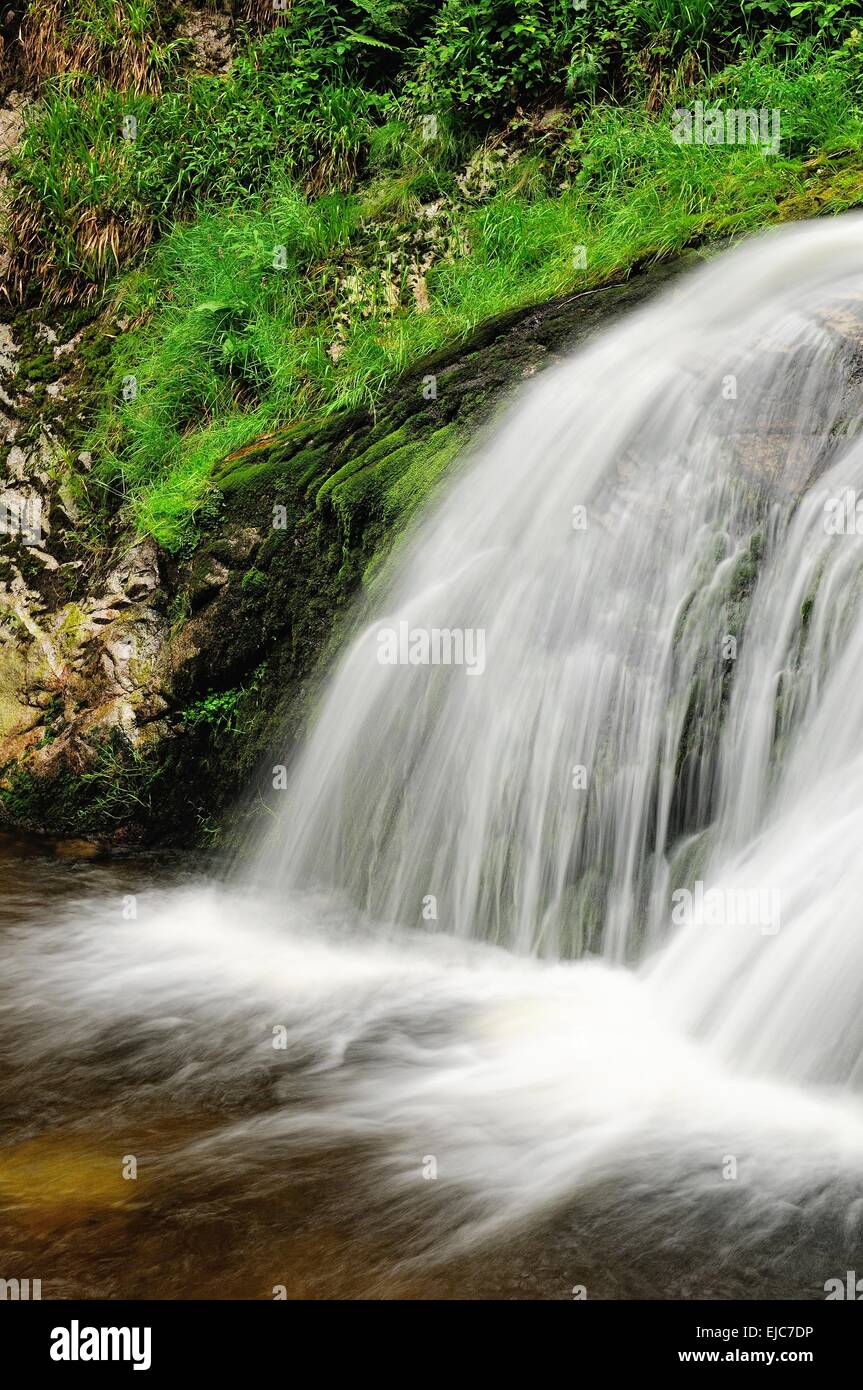 Chute d'eau douce Banque D'Images