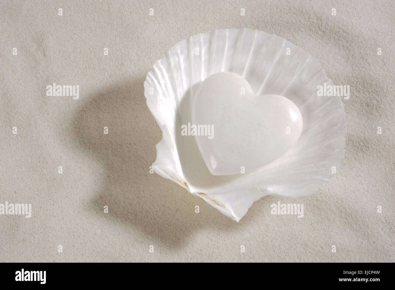 Moules en coeur blanc avec fond de sable Banque D'Images