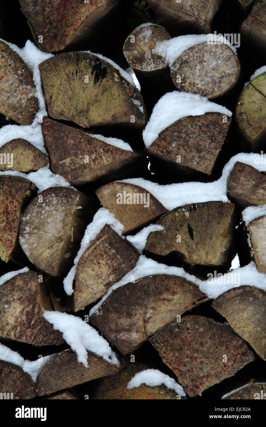 Pile de bois avec de la neige Banque D'Images