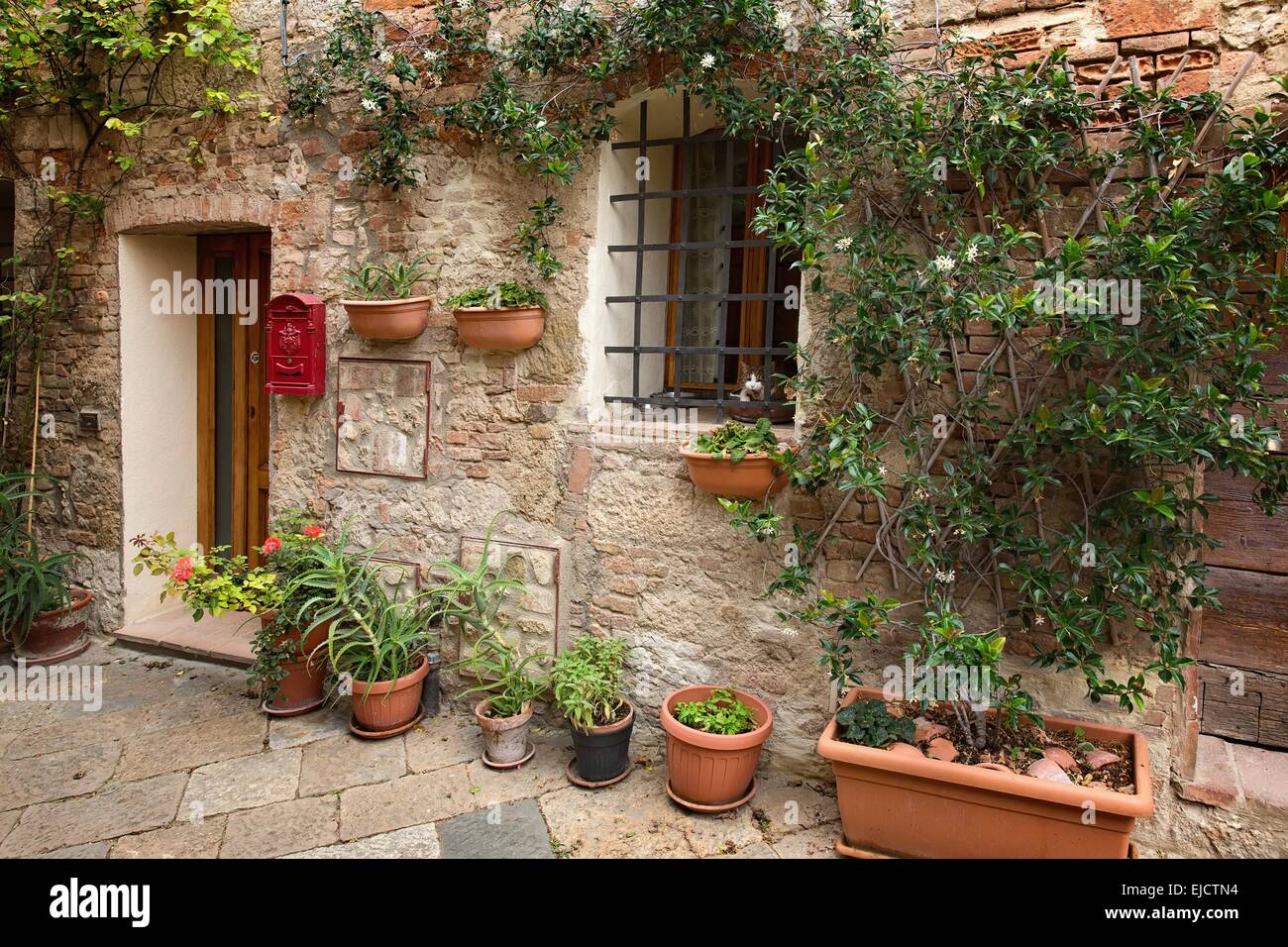 Beau coin pittoresque de la campagne Toscane Banque D'Images