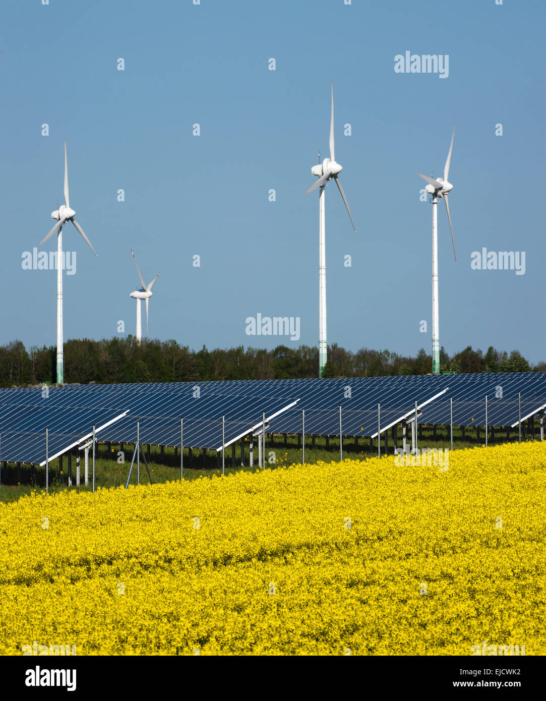 Les Éoliennes et panneaux solaires Banque D'Images
