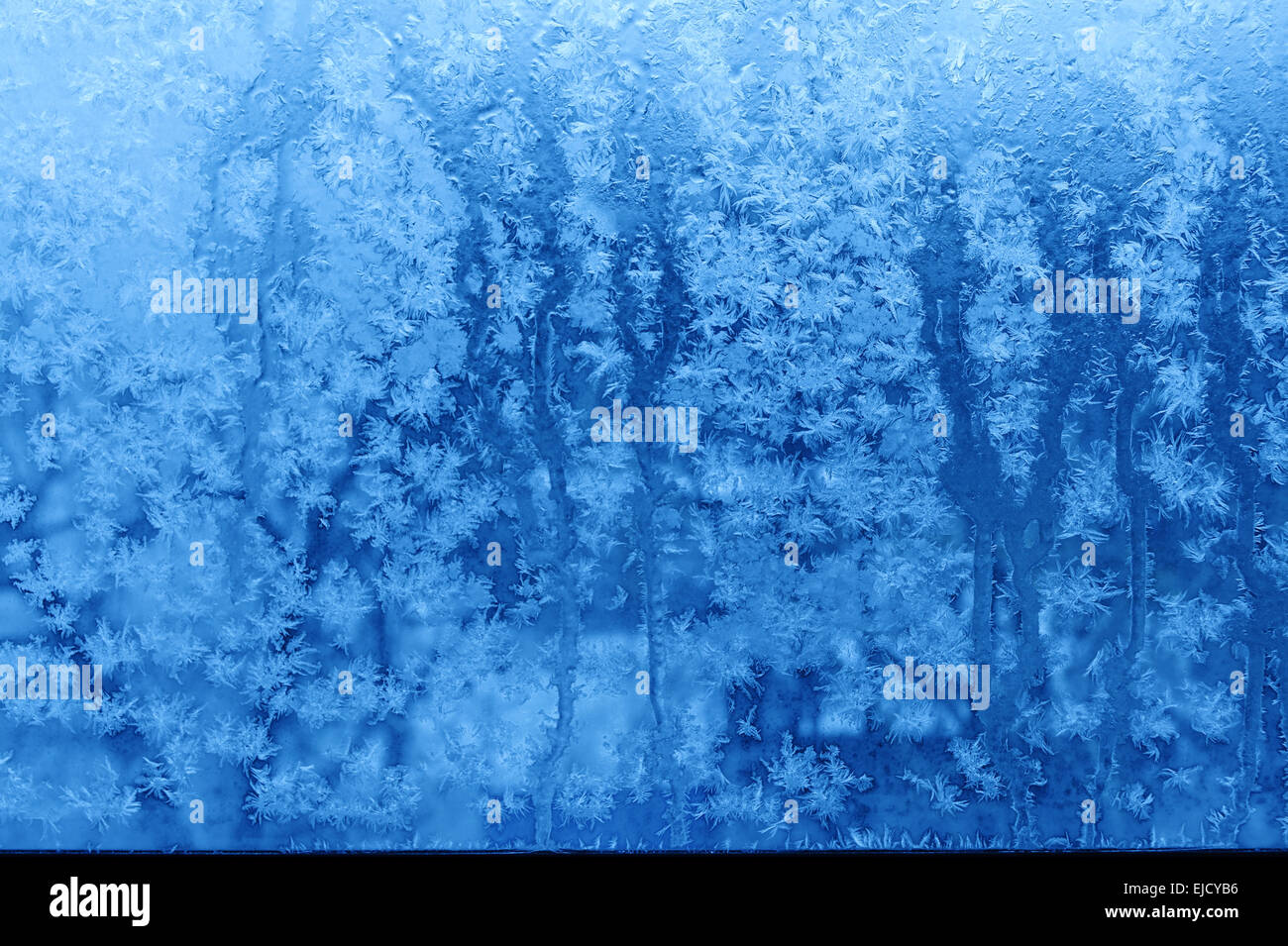 Le givre bleu avec des flocons de neige - contexte Banque D'Images