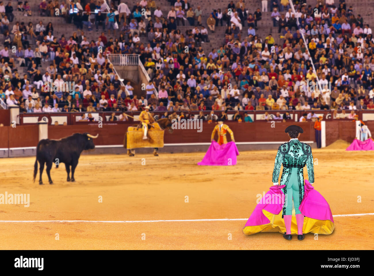 Matador et bull dans la tauromachie à Madrid Banque D'Images