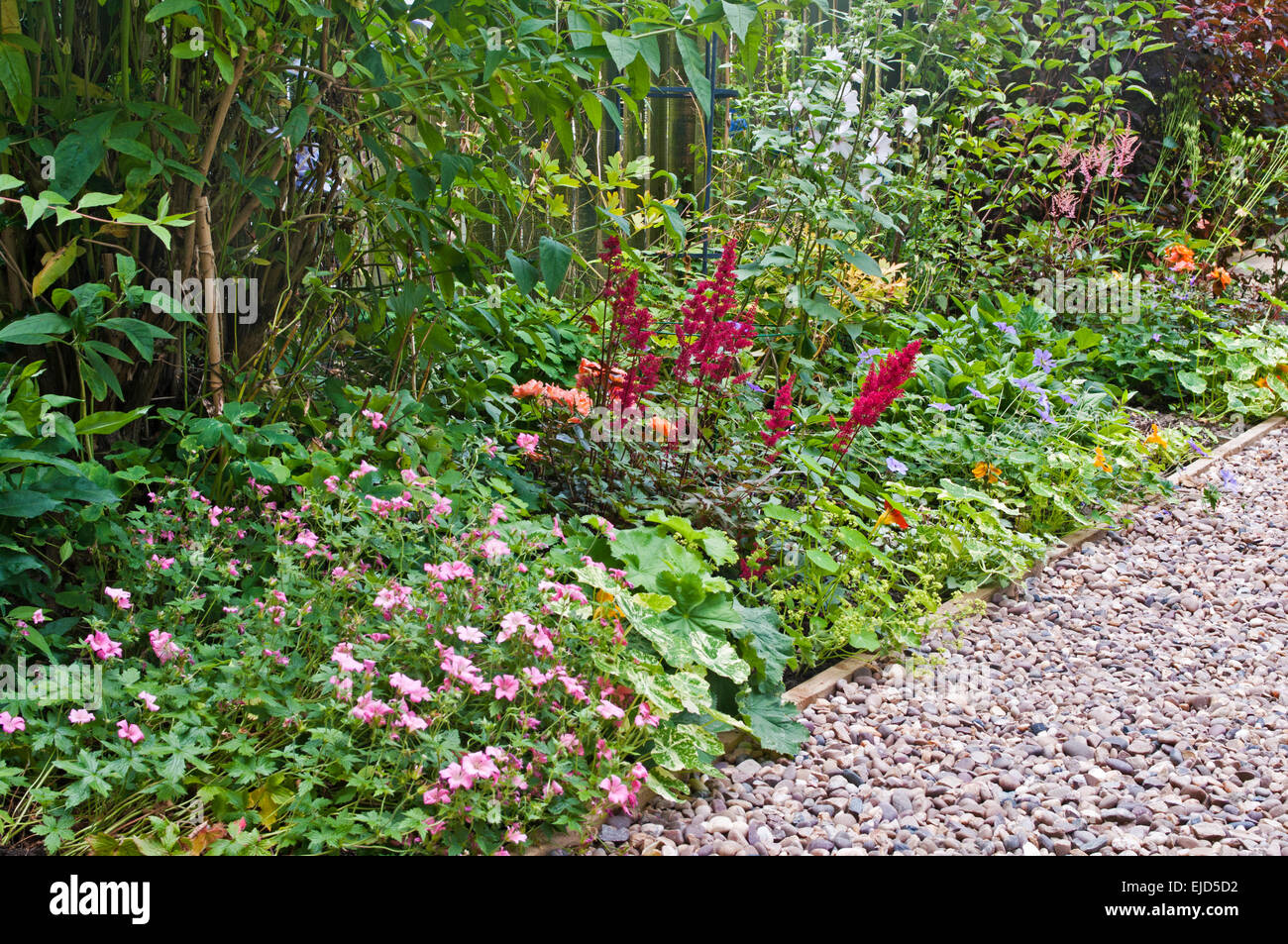 Détail de magnifique frontière herbacées avec des arbustes et des fleurs, à côté du chemin de galets, jardin anglais, l'été Banque D'Images