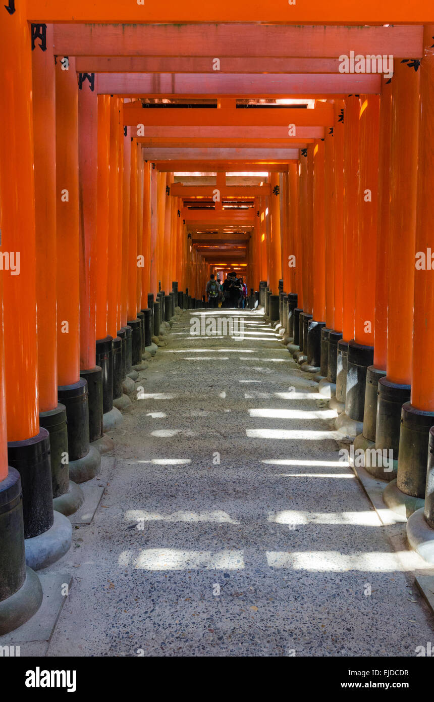 Torii vermillon portes du Sanctuaire Fushimi Inari, Kyoto, Japon Banque D'Images