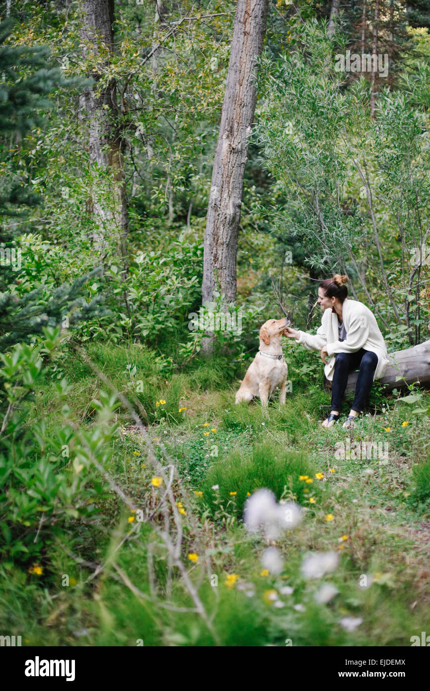 Une femme assise sur un rondin tapotant son retriever dog. Banque D'Images