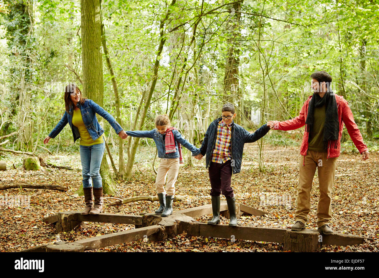 Bois de hêtre à l'automne. Une famille de quatre personnes, deux adultes et deux enfants. Banque D'Images