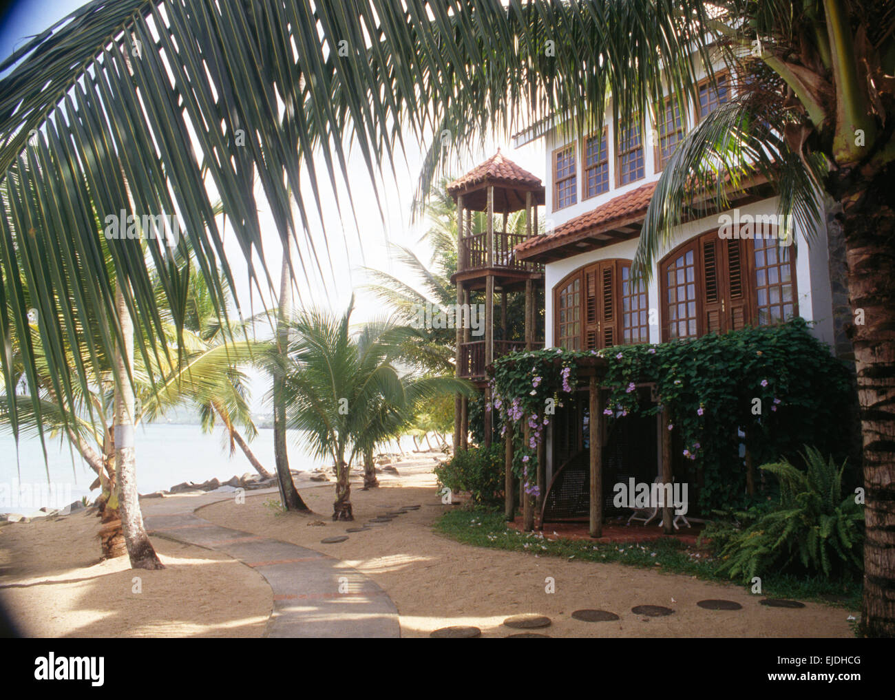 Extérieur d'une maison de style colonial traditionnel, dans les Antilles sur la plage et entouré de palmiers Banque D'Images