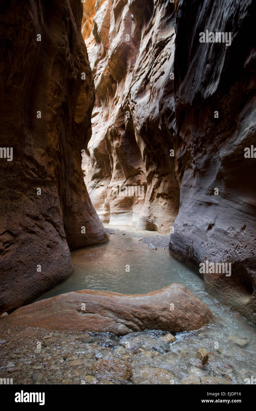 Le passage étroit dans Zion National Park reste un des plus populaires randonnées. Banque D'Images