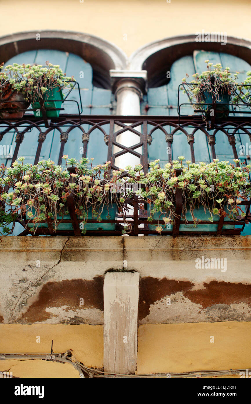 Les extérieurs colorés de bâtiments résidentiels à Venise, Italie. Banque D'Images