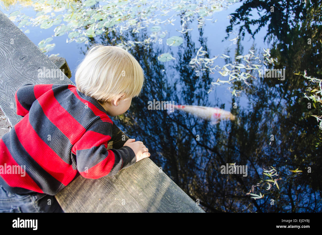 Bébé garçon à la recherche sur le bord et regarder des poissons dans un étang de koi. Banque D'Images