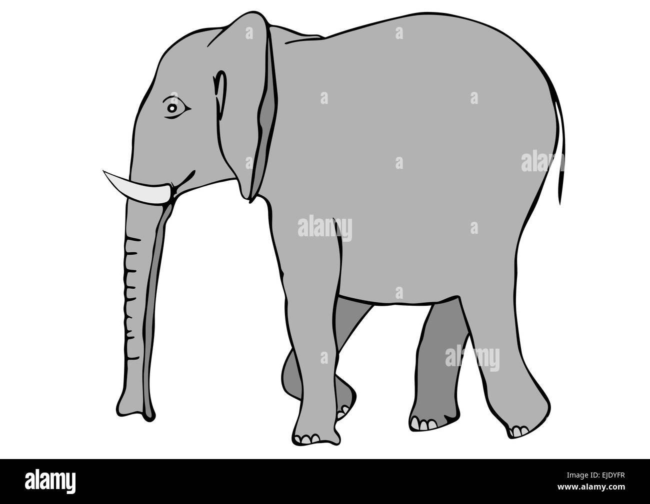 Elephant - vector Illustration de Vecteur
