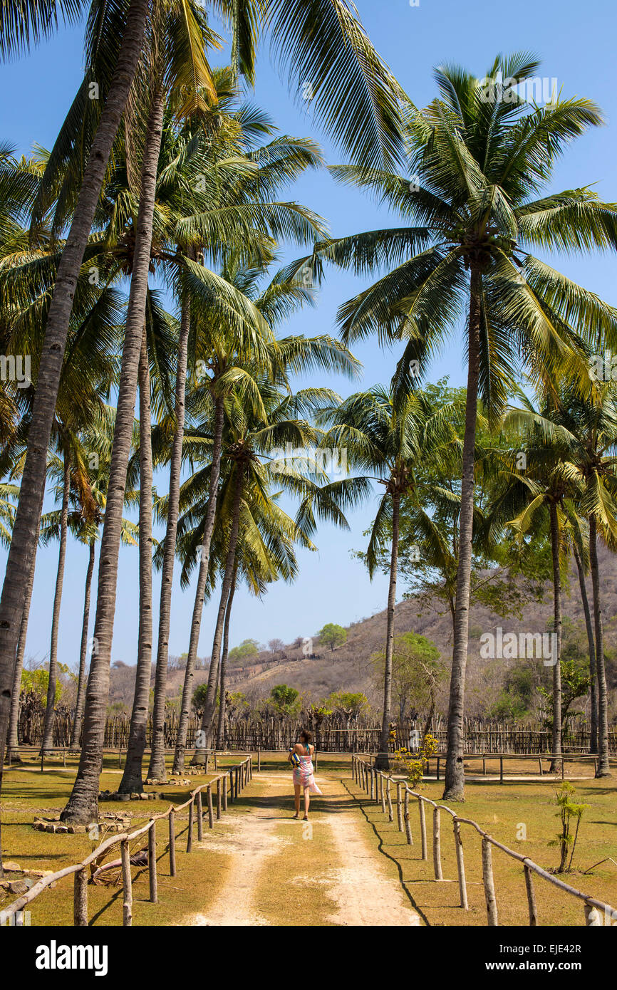 En voyage à l'Ouest Sumbawa.L'Indonésie. Banque D'Images