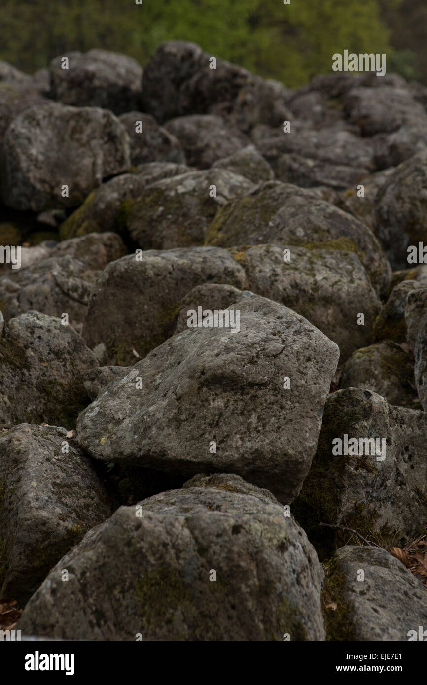 Pierres gris partiellement recouverts de mousses et de lichens. Rhoen montagnes, de l'Allemagne. Banque D'Images