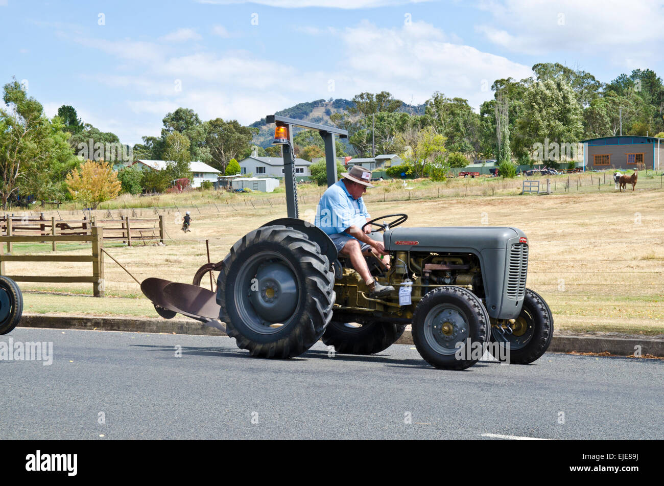 L'un des 140 tracteurs dans le 5ème Examen triennal Bendemeer Australian Grey Fergie Muster Grand Parade. Mars 2015 Banque D'Images