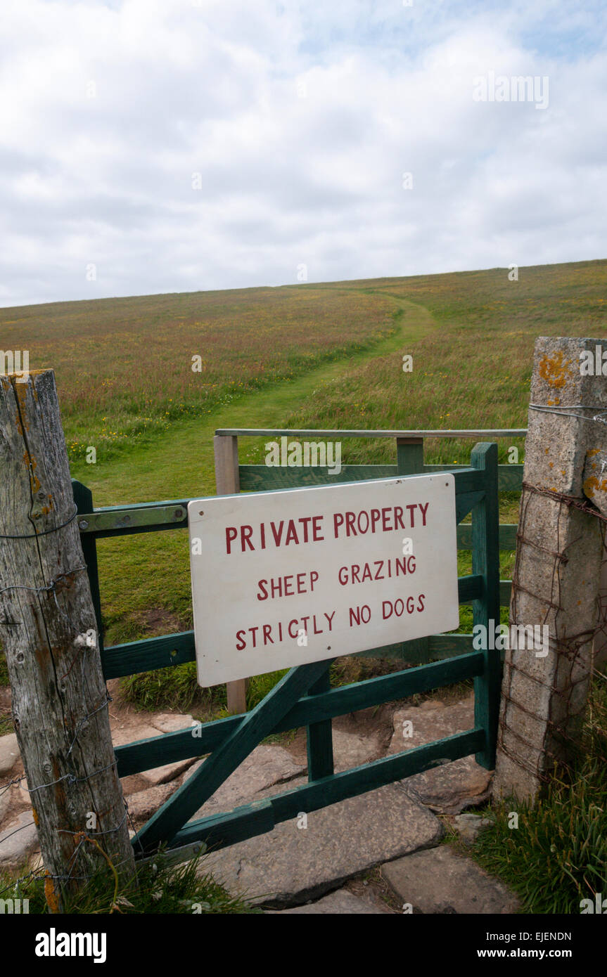 Un signe d'avertissement moutons sur une porte sur l'Brough de Birsay au large de la côte ouest de la partie continentale des Orcades. Banque D'Images