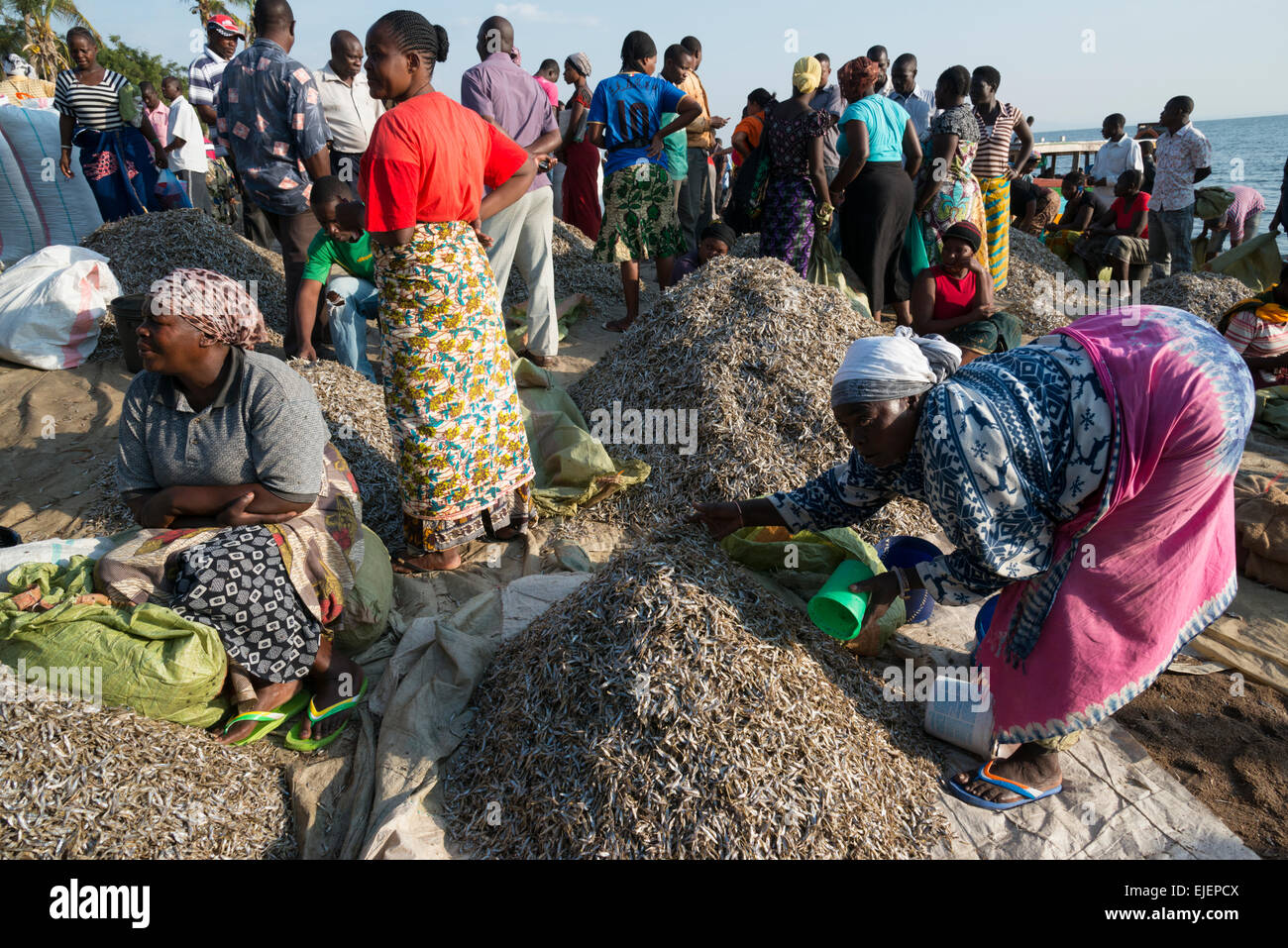 Marché aux poissons. Musoma. Le lac Victoria. La Tanzanie. Banque D'Images