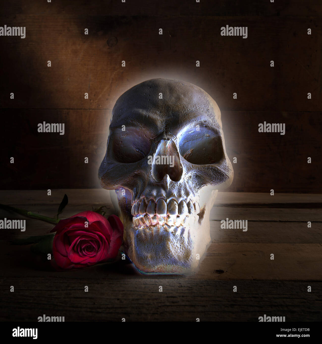 Brillant Halloween crâne avec Rose Banque D'Images