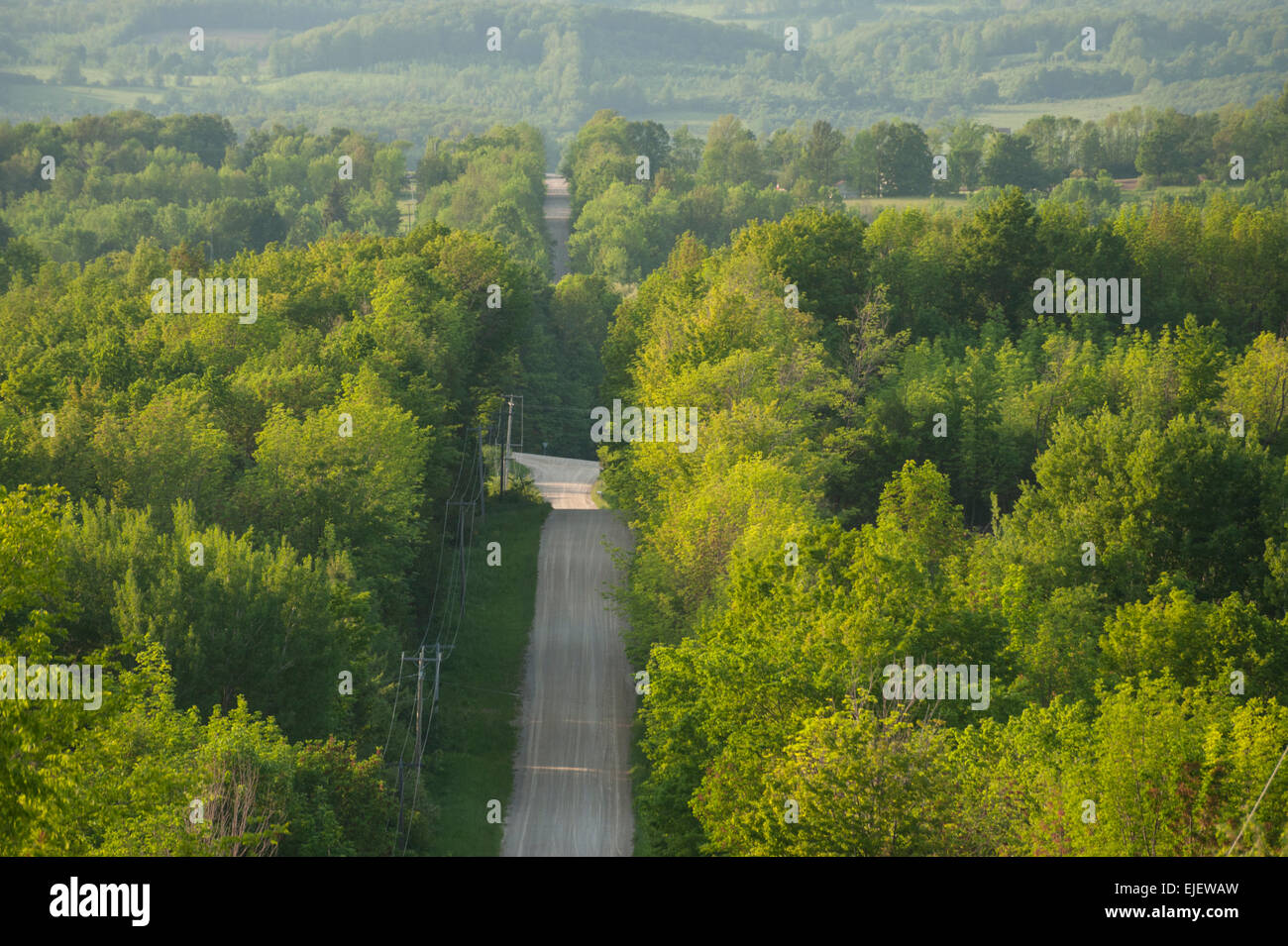 Une route de gravier en été conduit sur les collines boisées dans les régions rurales du sud de l'Ontario, Canada. Banque D'Images