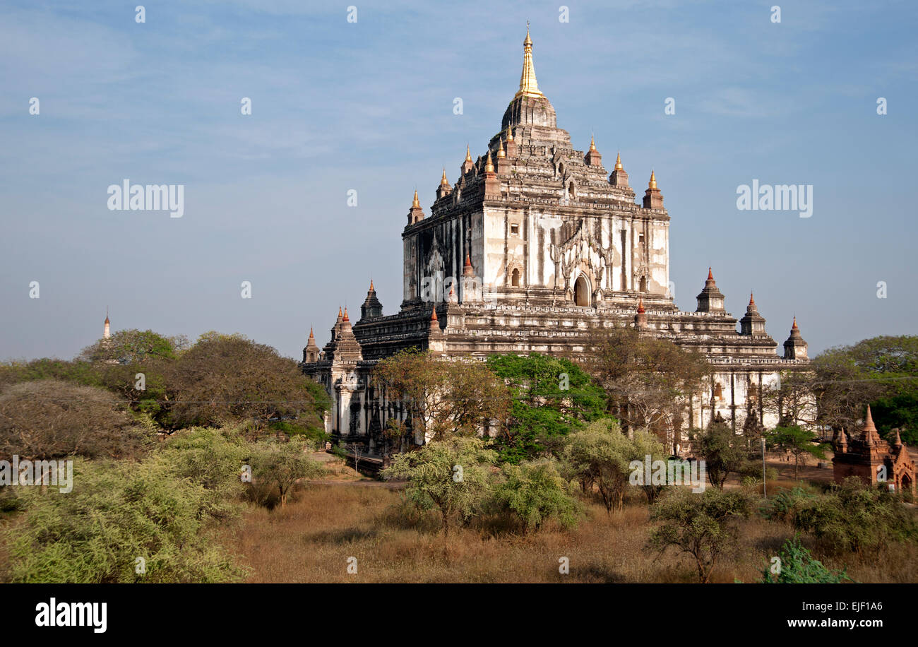 La Pagode Thatbyinnyu est grand parmi la végétation sur la plaine de Bagan Myanmar poussiéreux Banque D'Images