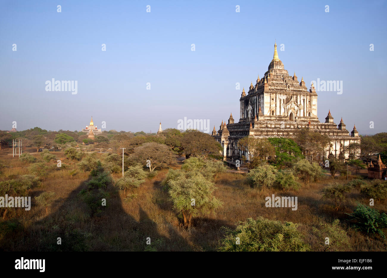 La Pagode Thatbyinnyu est grand parmi la végétation sur la plaine de Bagan Myanmar poussiéreux Banque D'Images