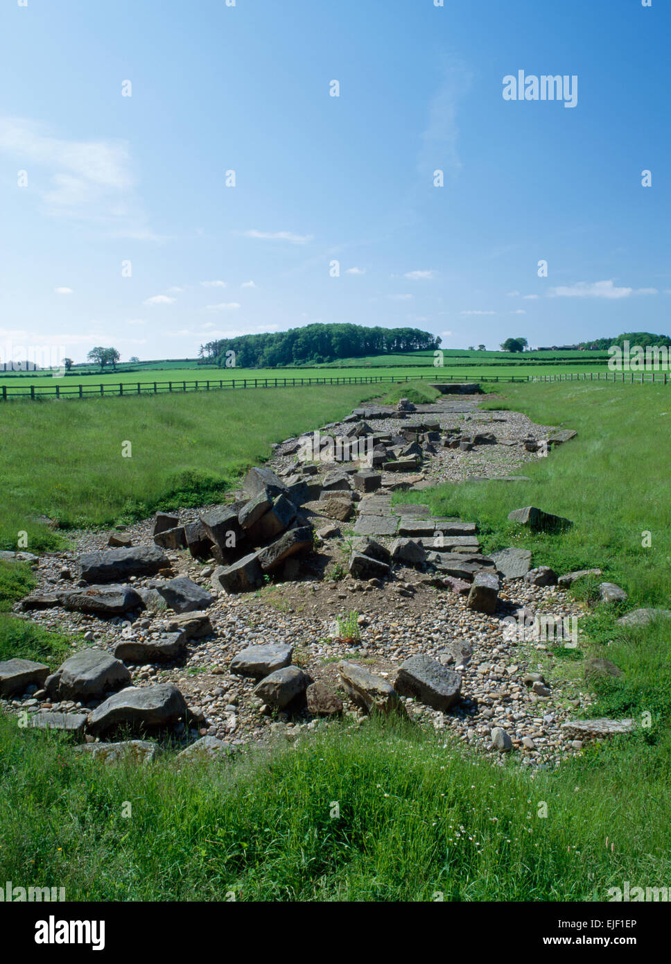 Piercebridge, N Yorks : à l'échelle de l'ESS ancien cours de la Rivière Tees au reste des piles maçonnées éparses qui une fois appuyé un C2ndAD pont romain Banque D'Images