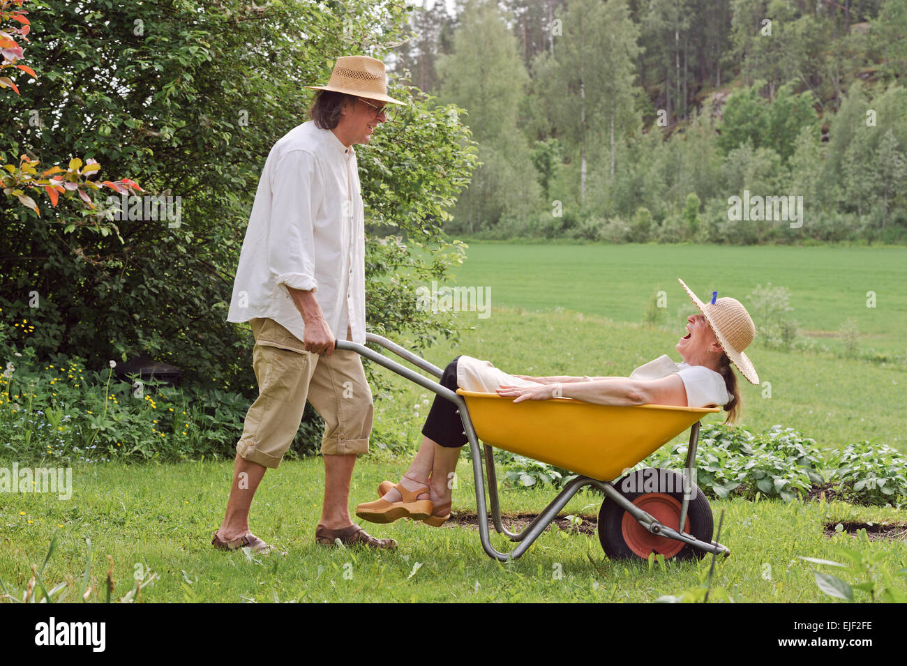 Hauts homme porte a senior woman dans une brouette à l'extérieur près d'un potager. Ils riaient et s'amusant. Banque D'Images