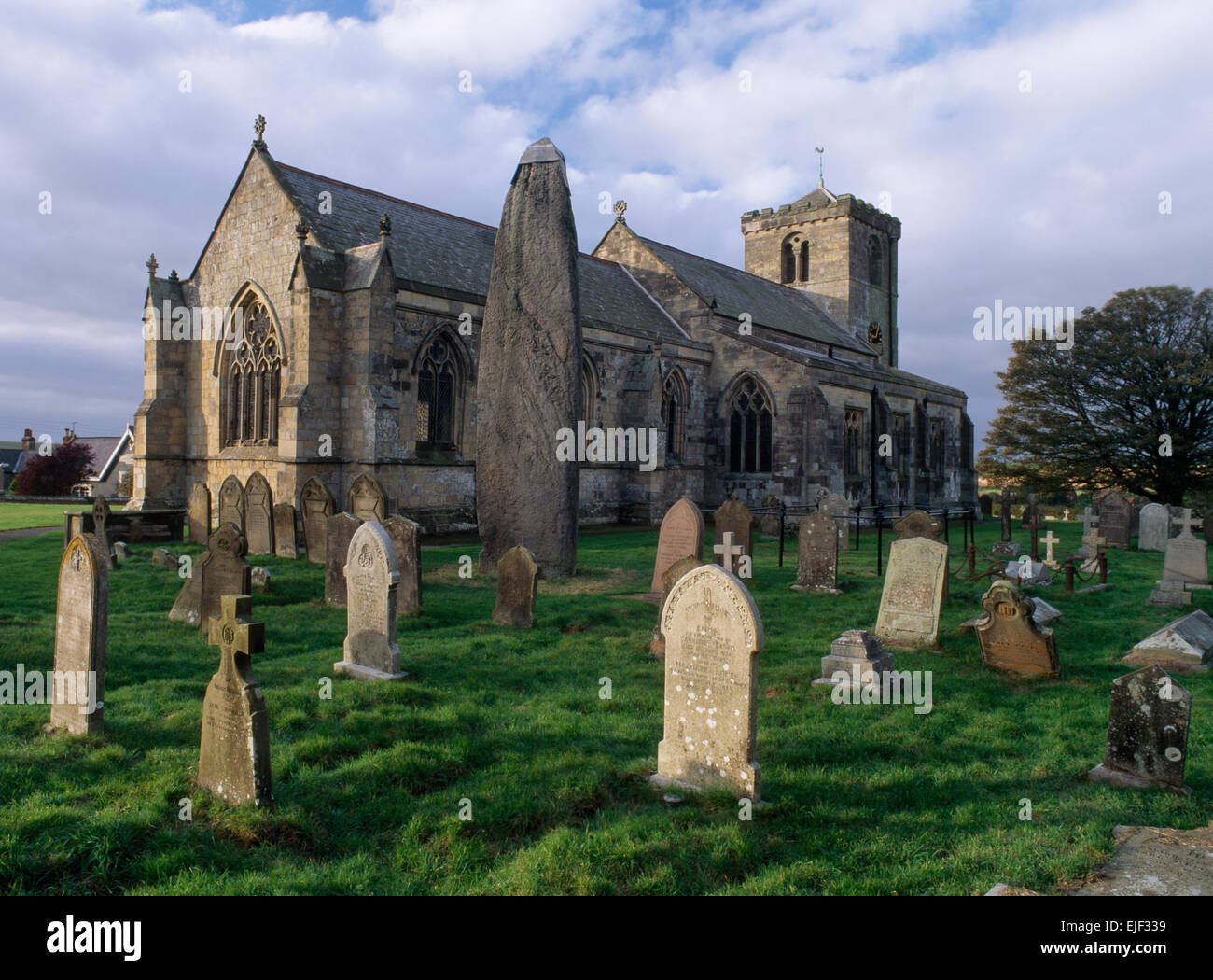 À 7,7 m c l'Rudston Monolith, East Yorkshire, est le plus haut standing stone en Grande-Bretagne, un pilier de pierre meulière obliques a 10 kilomètres de là. Banque D'Images