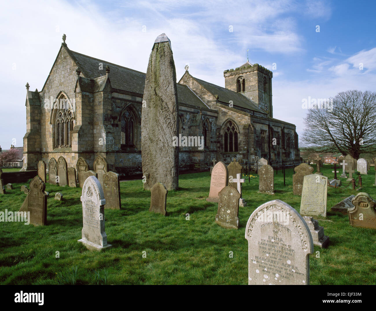 À 7,7 m c l'Rudston Monolith, East Yorkshire, est le plus haut standing stone en Grande-Bretagne, un pilier de pierre meulière obliques a 10 kilomètres de là. Banque D'Images