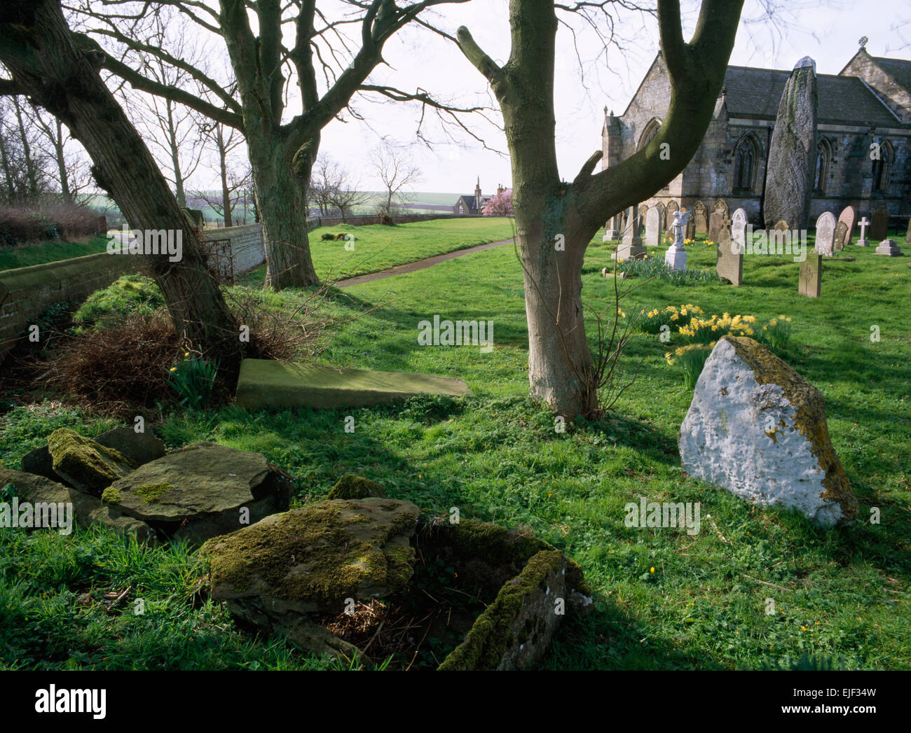 Rudston churchyard, East Yorkshire : une sépulture préhistorique reconstruit & ciste le plus haut standing stone en Grande-Bretagne, une pierre meulière pilier c 7,7 M$. Banque D'Images