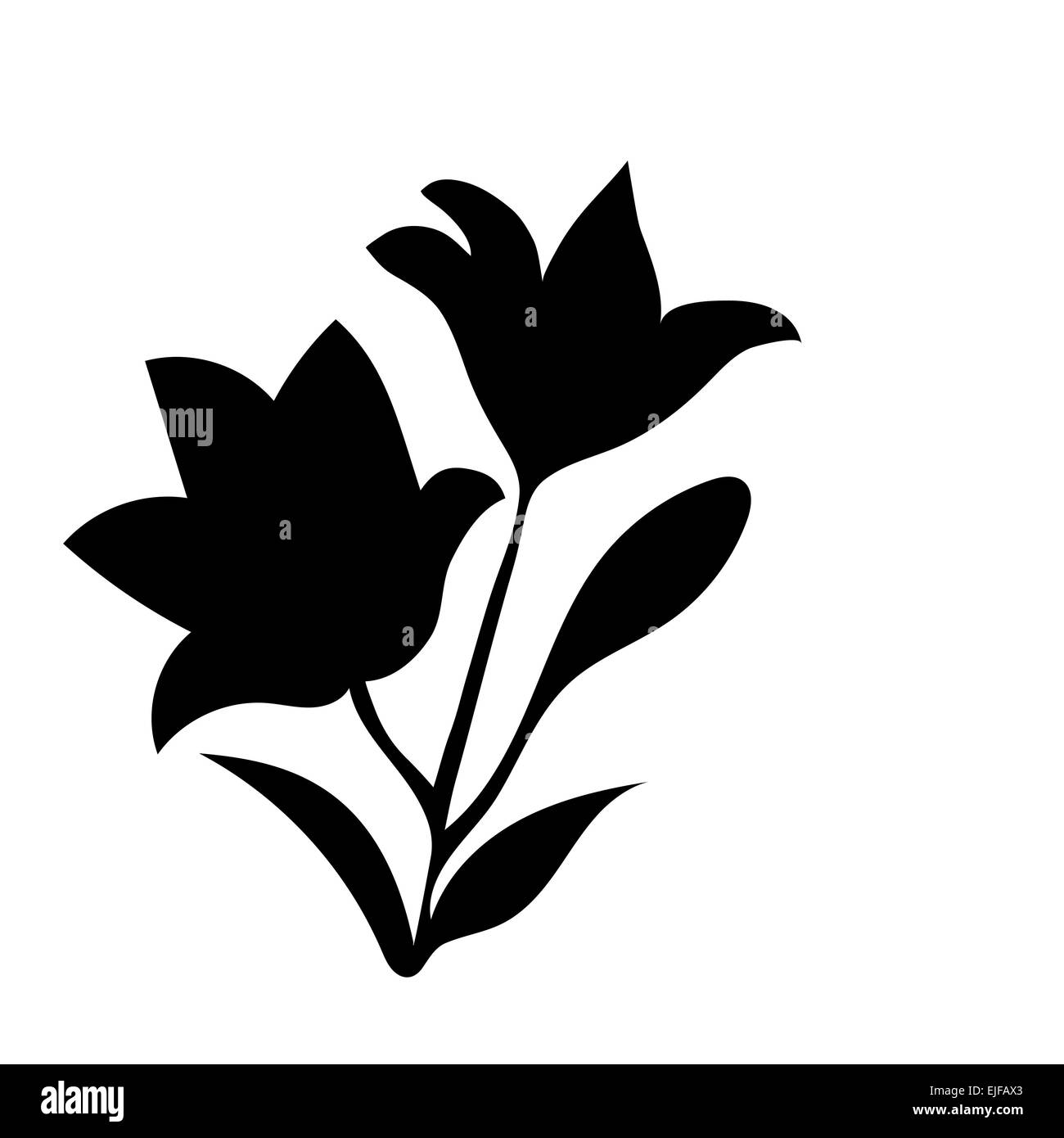 Lily silhouette. Banque D'Images