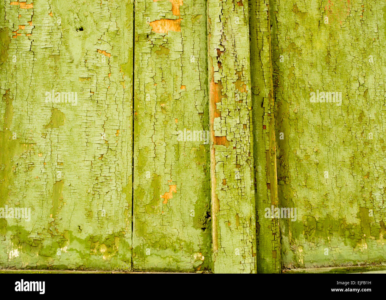 Peinture vert avec paillettes et sur le vieux bois de déroulage Banque D'Images