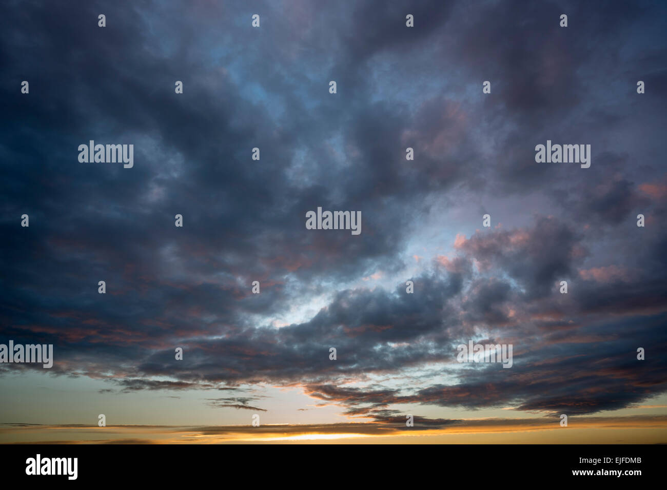 Sinistre spectaculaire puffy clouds in sky soirée spectaculaire moody dans le coucher du soleil au Royaume-Uni Banque D'Images