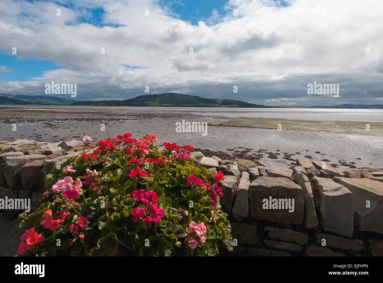Une vue sur le Lough Swilly de Rathmullan, comté de Donegal, Irlande Banque D'Images