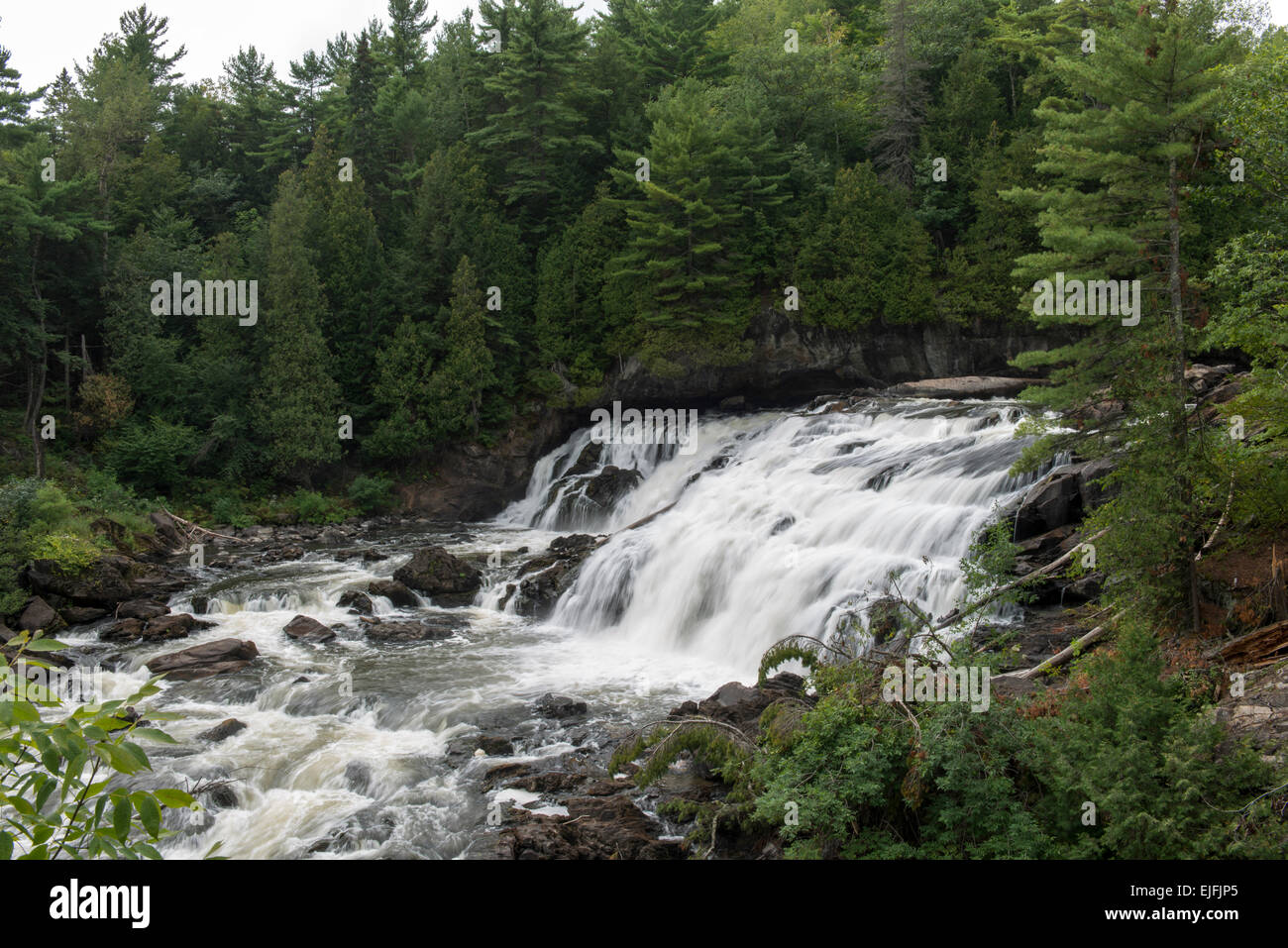 Cascade dans une forêt, Plaisance, chutes de la rivière PetiteNation