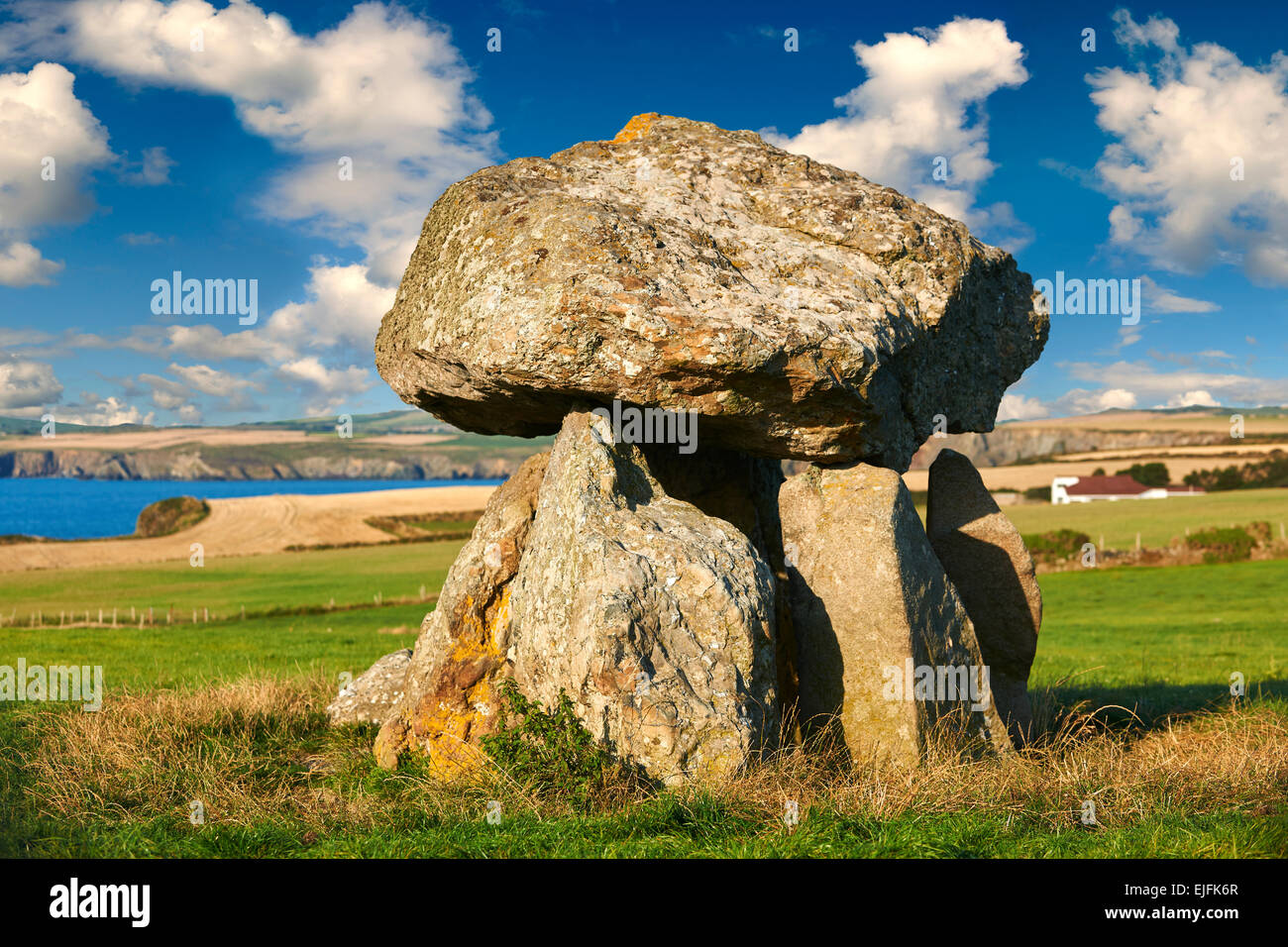 Carreg ou Samson Samson's Stone, 5000 ans d'un dolmen néolithique chambre funéraire, près de Abercastle, Pembroke, au Pays de Galles Banque D'Images